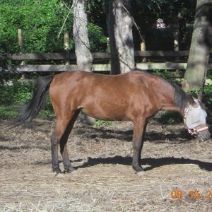 Meet your Posher, Emma